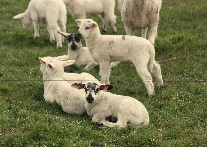 Rum i privatbostad Connys