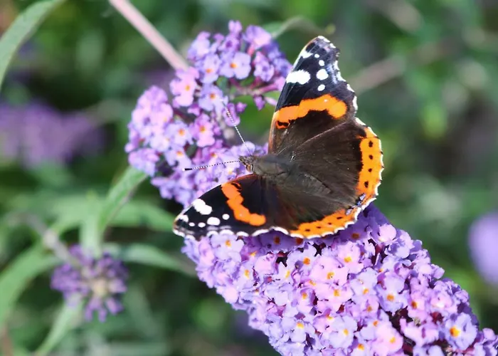 Connys Rum i privatbostad